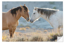 Wandsticker Nase an Nase, wilde Mustangs im Sand Wash Basin