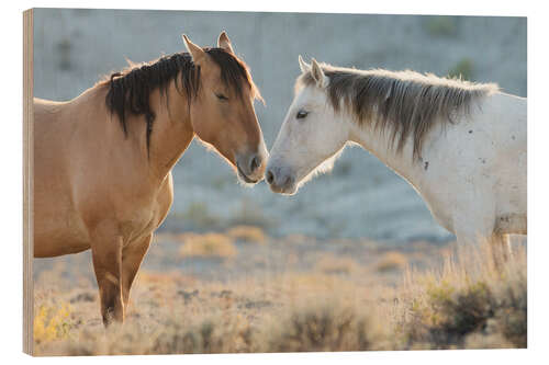 Wood print Nose to nose, Sand Wash Basin wild mustangs