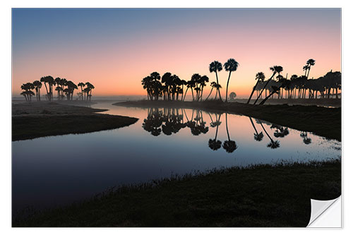 Självhäftande poster Sable palms silhouetted at sunrise on Econlockhatchee River