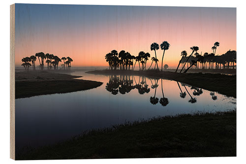 Wood print Sable palms silhouetted at sunrise on Econlockhatchee River