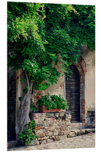 Foam board print Green Backyard in Tuscany