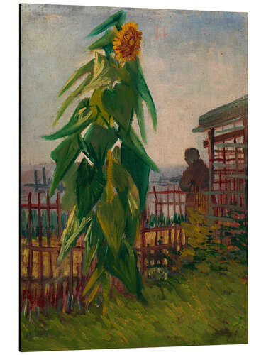 Quadro em alumínio Allotment with Sunflower, 1887