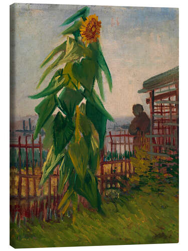 Leinwandbild Gemüsegarten mit Sonnenblume, 1887