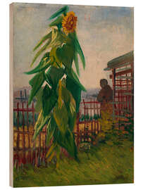 Puutaulu Allotment with Sunflower, 1887