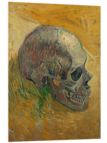 Foam board print Skull (Side) 1887