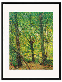 Gerahmter Kunstdruck Bäume und Unterholz