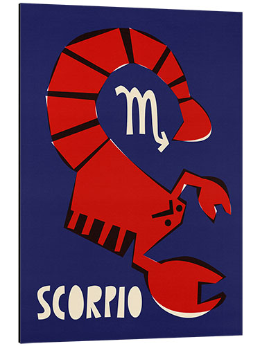 Stampa su alluminio Scorpio Zodiac Star Sign