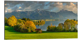 Aluminium print Forggensee in autumn