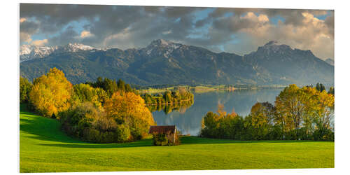 Bilde på skumplate Forggensee in autumn