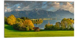 Galleritryck Forggensee in autumn