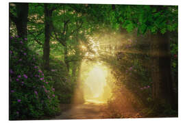 Magnettafel Hallo Sonnenschein!