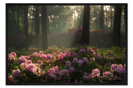 Gerahmter Kunstdruck Rosa Paradies