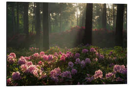 Magnettafel Rosa Paradies