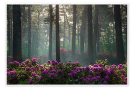 Tableau The pink dream - Martin Podt