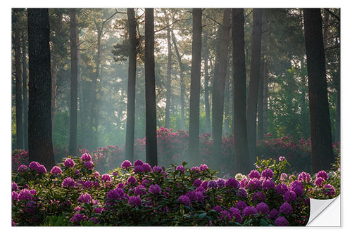 Naklejka na ścianę The pink dream