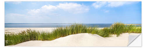 Naklejka na ścianę Dunes on the beach panorama