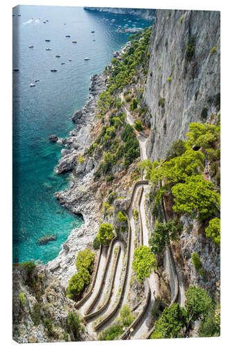 Canvas print Via Krupp path on Capri island, Italy