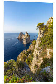 Foam board print Faraglioni Felsen auf Capri