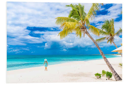 Foam board print Idyllic beach with palm trees, Barbuda, Antigua