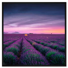 Gerahmter Kunstdruck Sonnenuntergang über der Provence