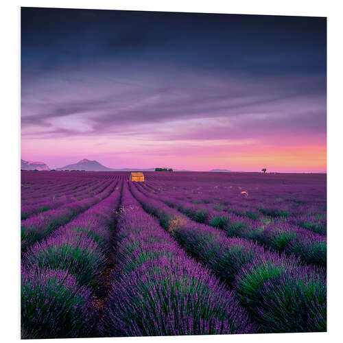 Foam board print Sunset over the Provence