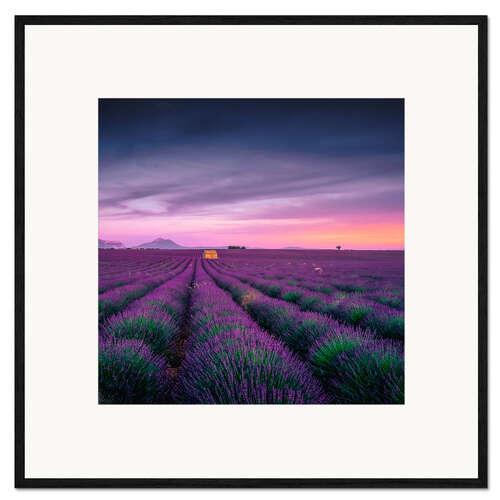 Inramat konsttryck Sunset over the Provence