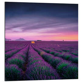 Magnettafel Sonnenuntergang über der Provence