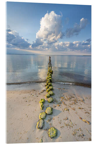 Acrylic print Groyne on the Baltic Sea on Rügen