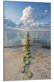 Magnettafel Buhne an der Ostsee auf Rügen