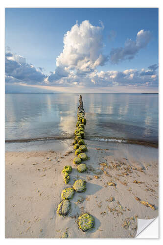 Selvklebende plakat Groyne on the Baltic Sea on Rügen