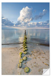 Selvklæbende plakat Groyne on the Baltic Sea on Rügen