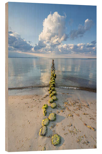 Holzbild Buhne an der Ostsee auf Rügen