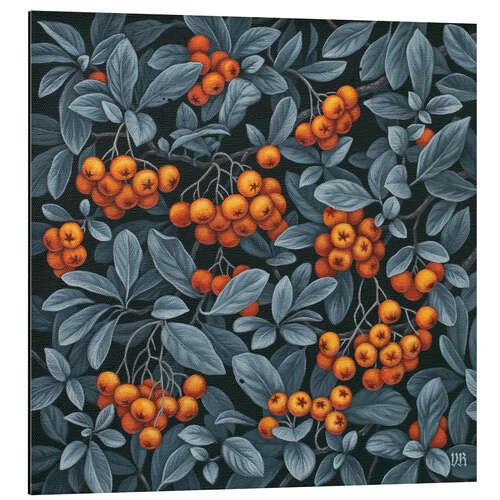 Quadro em alumínio Pyracantha berries