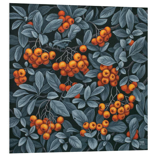 Foam board print Pyracantha berries