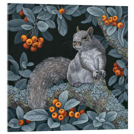 Quadro em acrílico Squirrel in the woods