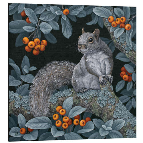 Tableau en aluminium Squirrel in the woods