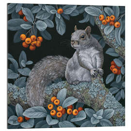 Quadro em plexi-alumínio Squirrel in the woods