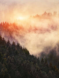 Magnettafel In meiner anderen Welt
