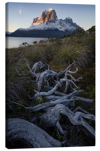 Canvas print Moonrise In Patagonian Fjords