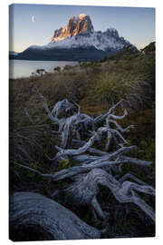 Canvas print Moonrise In Patagonian Fjords