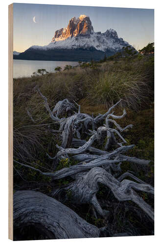Trebilde Moonrise In Patagonian Fjords