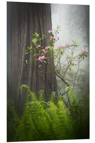 Foam board print Flowers of Damnation