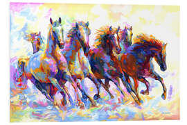 Foam board print Wild Horses Colourful