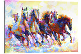 Tableau en plexi-alu Wild Horses Colourful