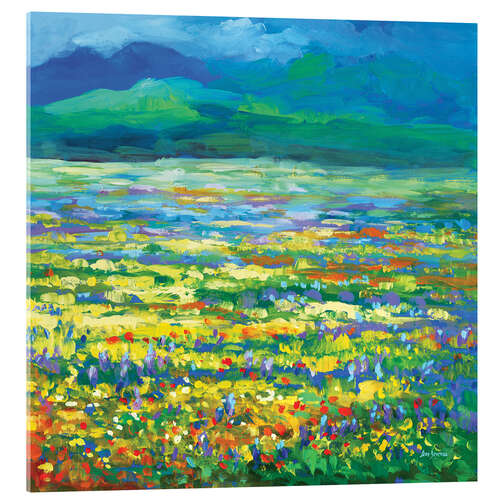 Acrylglasbild Wildblumenwiese Farbenfroh