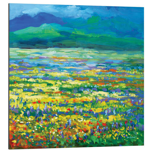 Aluminium print Meadow of Wildflowers Colourful