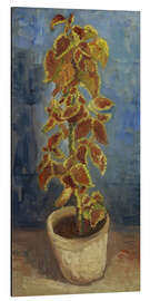 Obraz na aluminium Flame Nettle in a Flowerpot, 1886