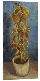 Hartschaumbild Flammennessel in einem Blumentopf, 1886