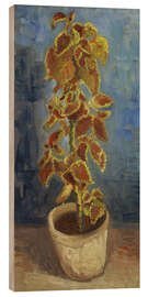 Quadro de madeira Flame Nettle in a Flowerpot, 1886 - Vincent van Gogh