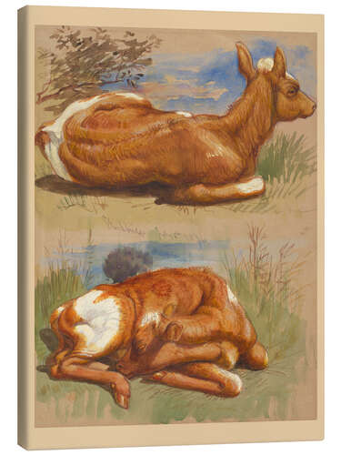 Canvas-taulu Three Studies of Calves